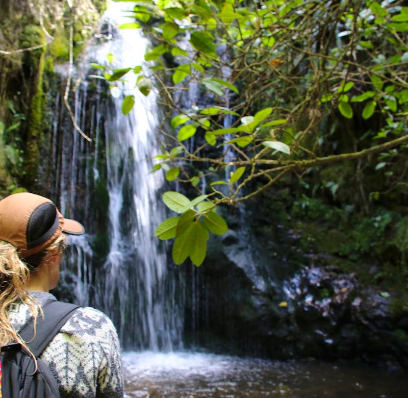 Join the Food Revolution | Volunteer in Ecuador 2025