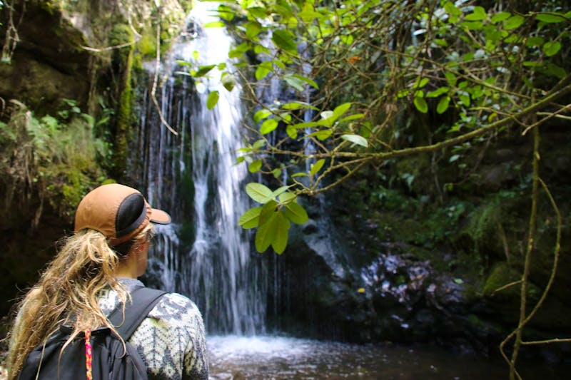 Join the Food Revolution | Volunteer in Ecuador 2025