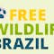 FreeWildlifeBrazil Celine