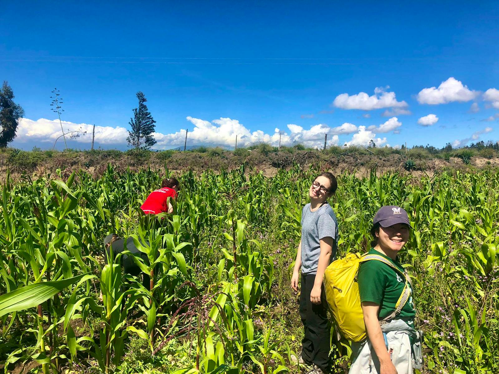 Join the Food Revolution | Volunteer in Ecuador 2025