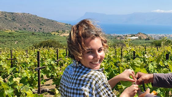 Volontariato in Grecia Agriculture & Viticulture Internships