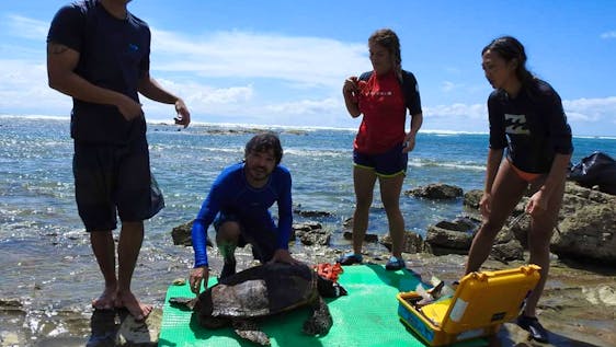 Conservation Volunteer in Costa Rica  National Park Conservation & Plastic-Free Oceans