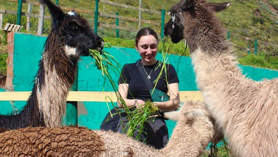 Freiwilligenarbeit in Cusco Wildlife Rescue Helper