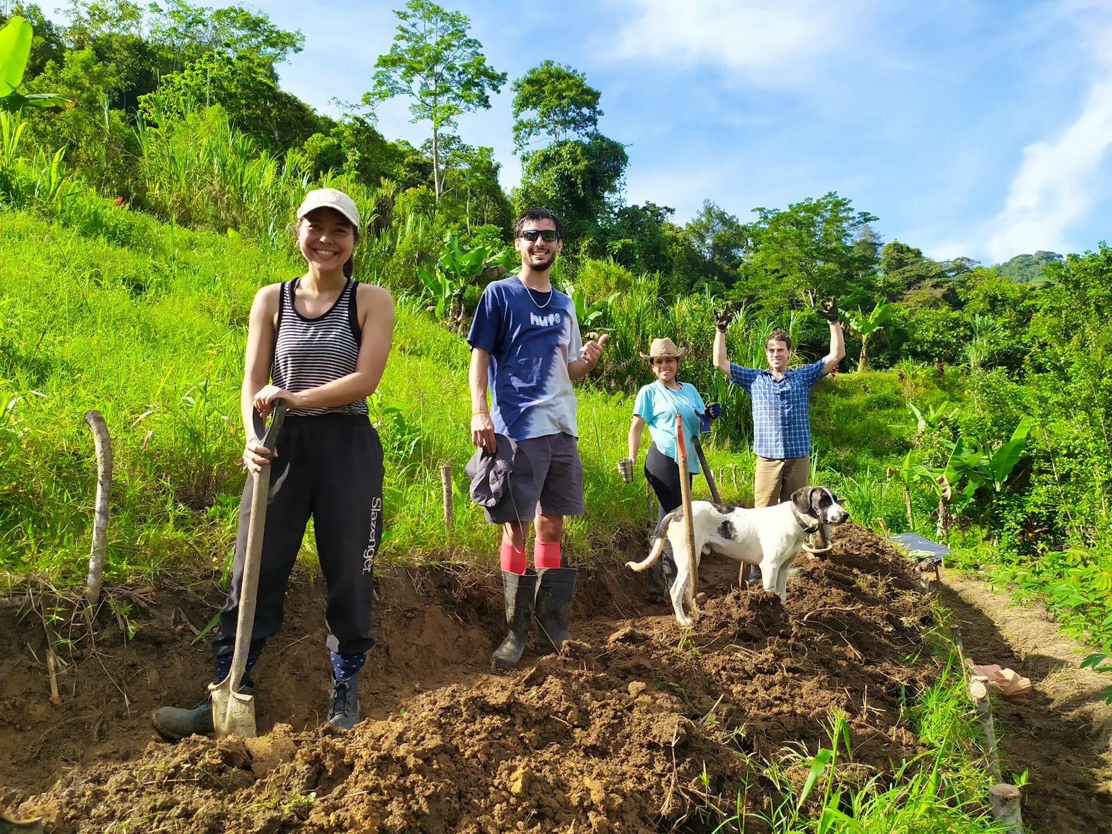 Offgrid Permaculture Sustainable Farmer Volunteer in Costa Rica 2025