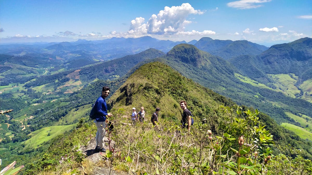 Restoring Brazilian Atlantic Rainforest | Volunteer in Brazil 2024