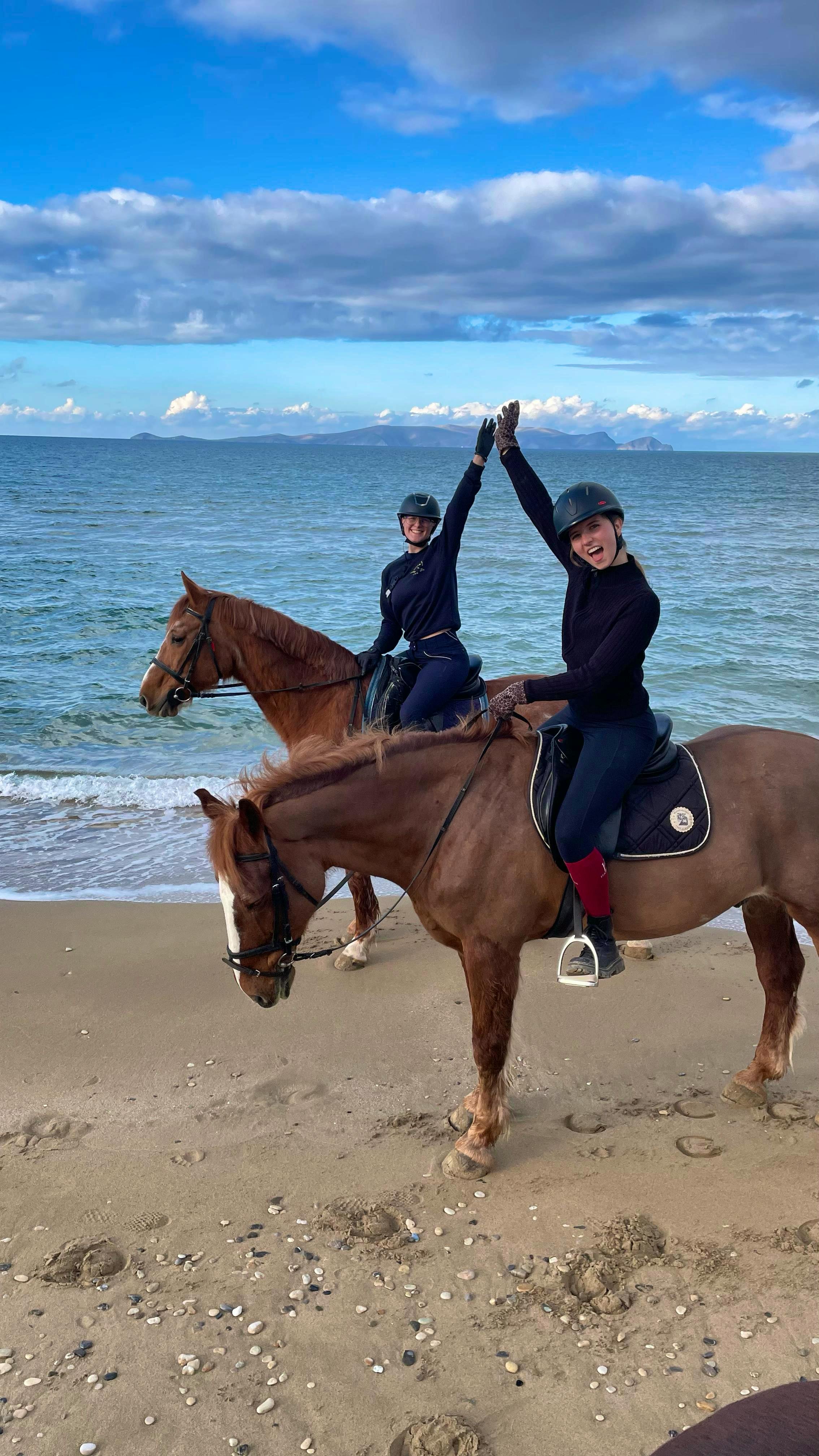 Horse Riding Academy