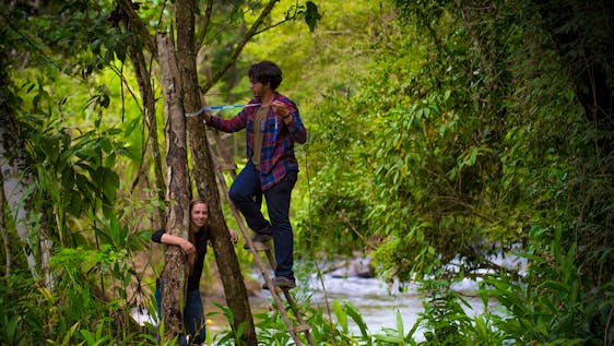 Freiwilligenarbeit im Amazonas Eco-Supporter (Forest Inventory)