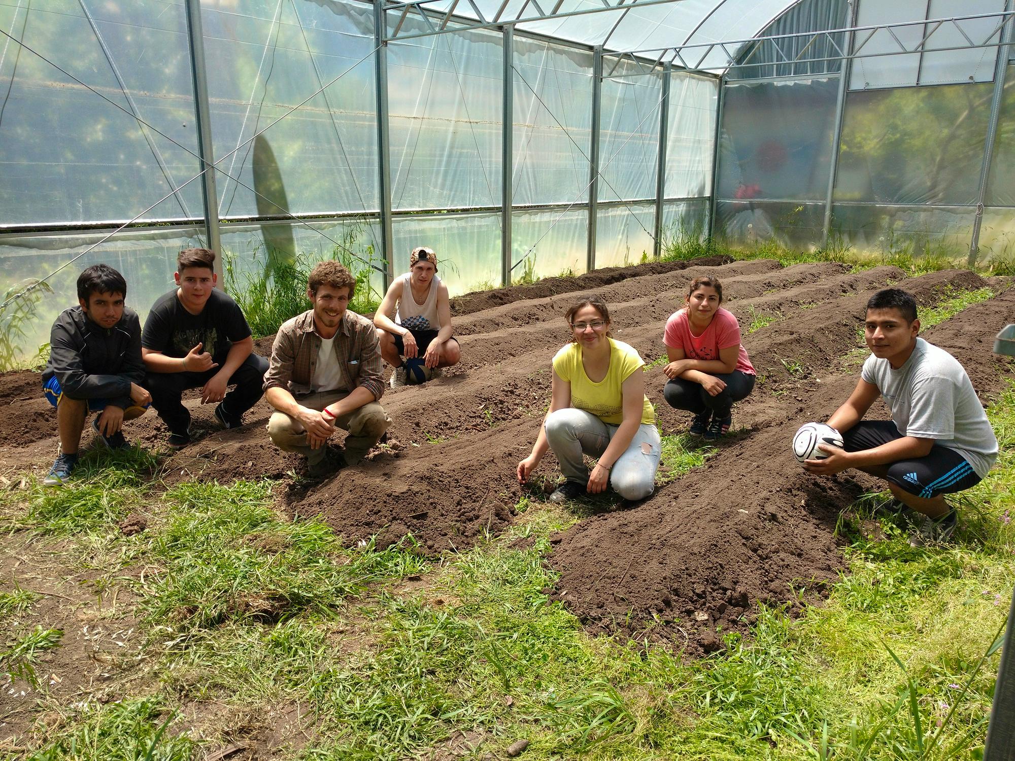 Working in the greenhouse.