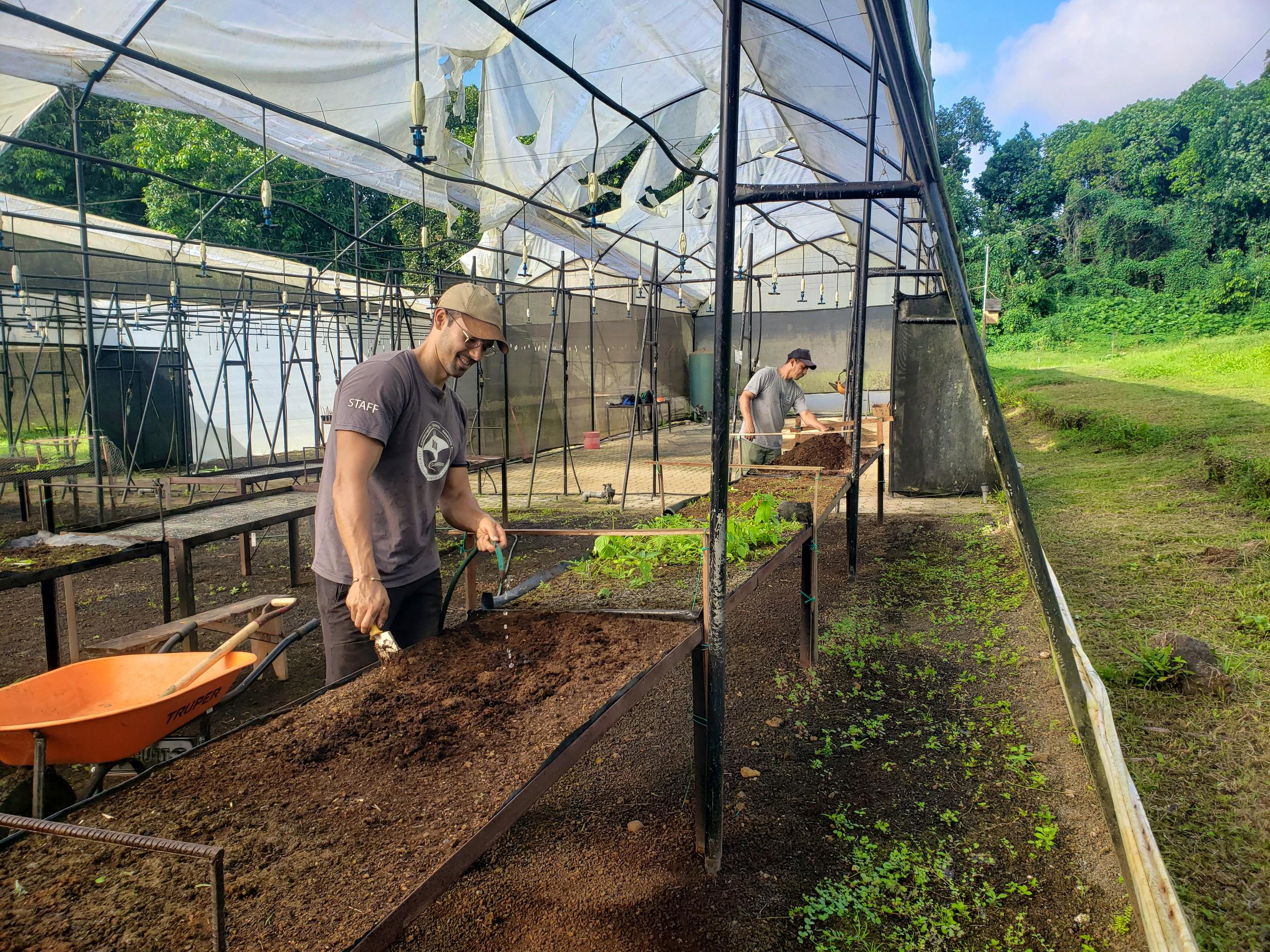 Volunteer at the endemic plant spsecies nursery