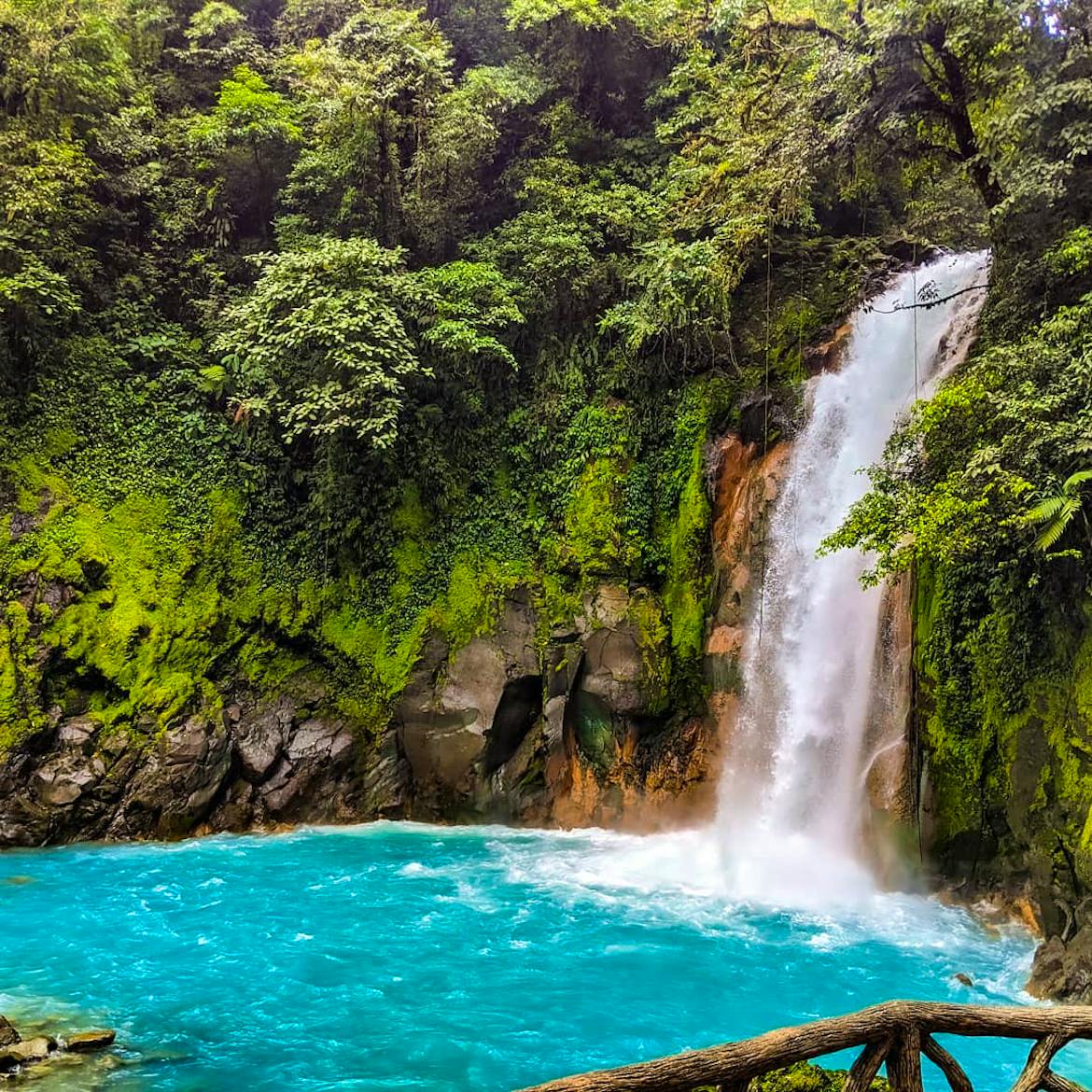 Beach Cleaning & Nature Reserve | Volunteer in Costa Rica 2024