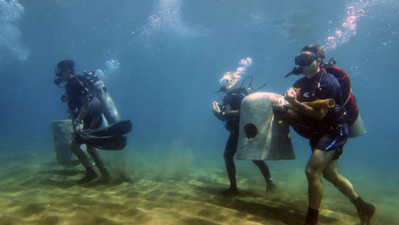 Learn how to dive while volunteering Supporter for Marine Conservation