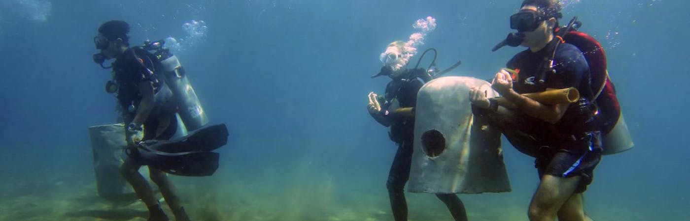 Marine Conservation Philippine | Volunteer Abroad 2020 | Volunteer World