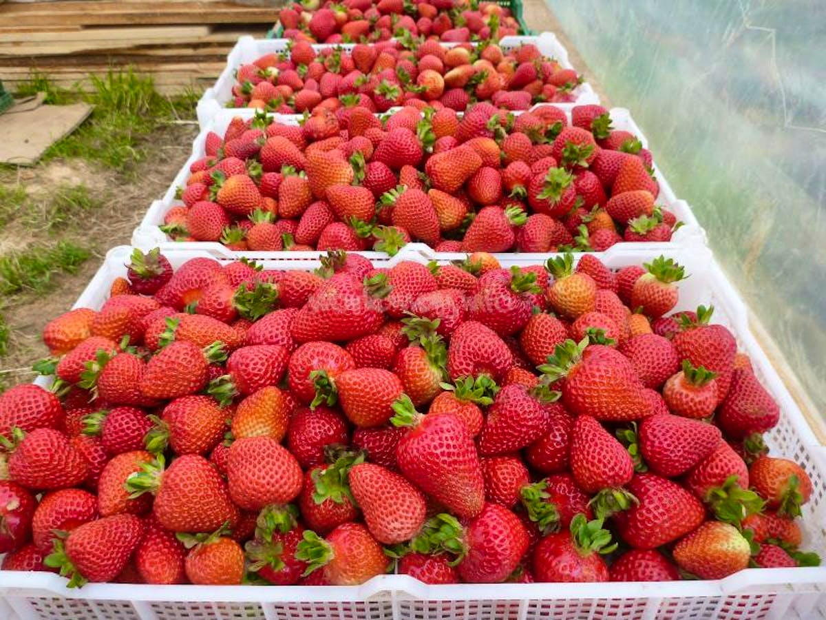 Community development in families Volunteer in Chile 2024