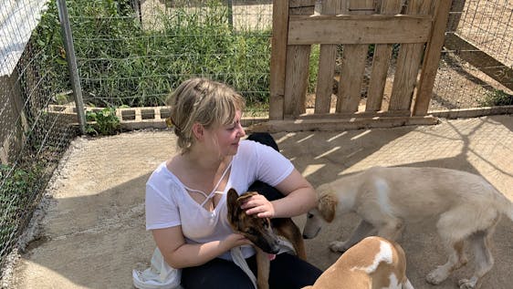 Freiwilligenarbeit im Tierheim Support Greek Dog Shelter