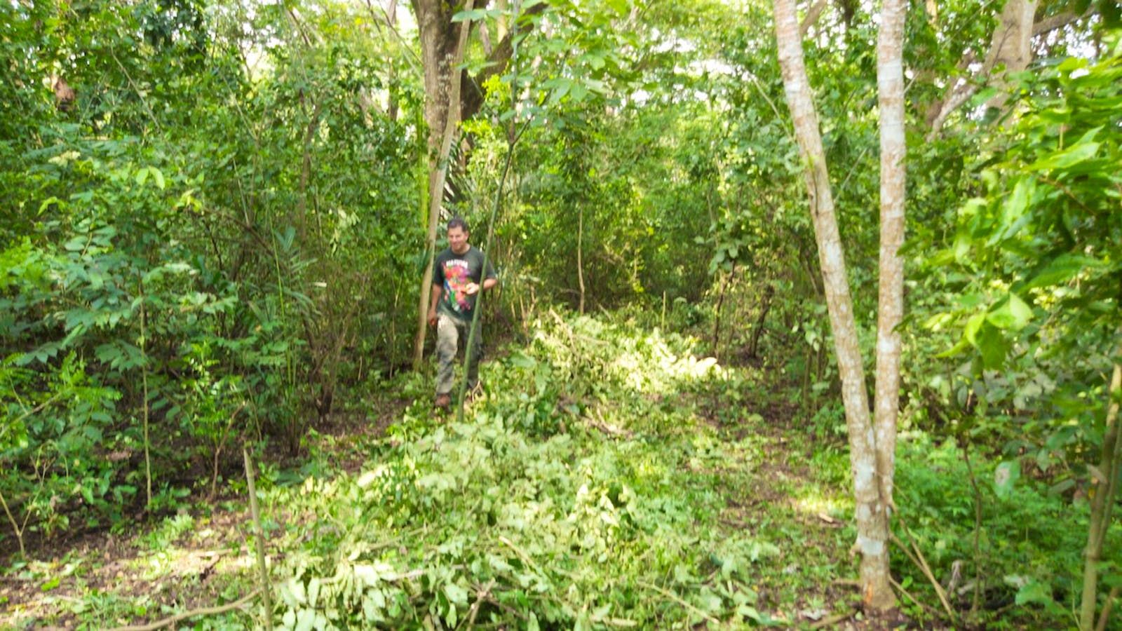 Wildlife Conservation Volunteer in Costa Rica Volunteer in Costa Rica