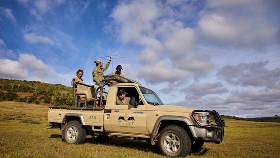 Vrijwilligerswerk met Giraffen Eco Nature and Coastal Conservation