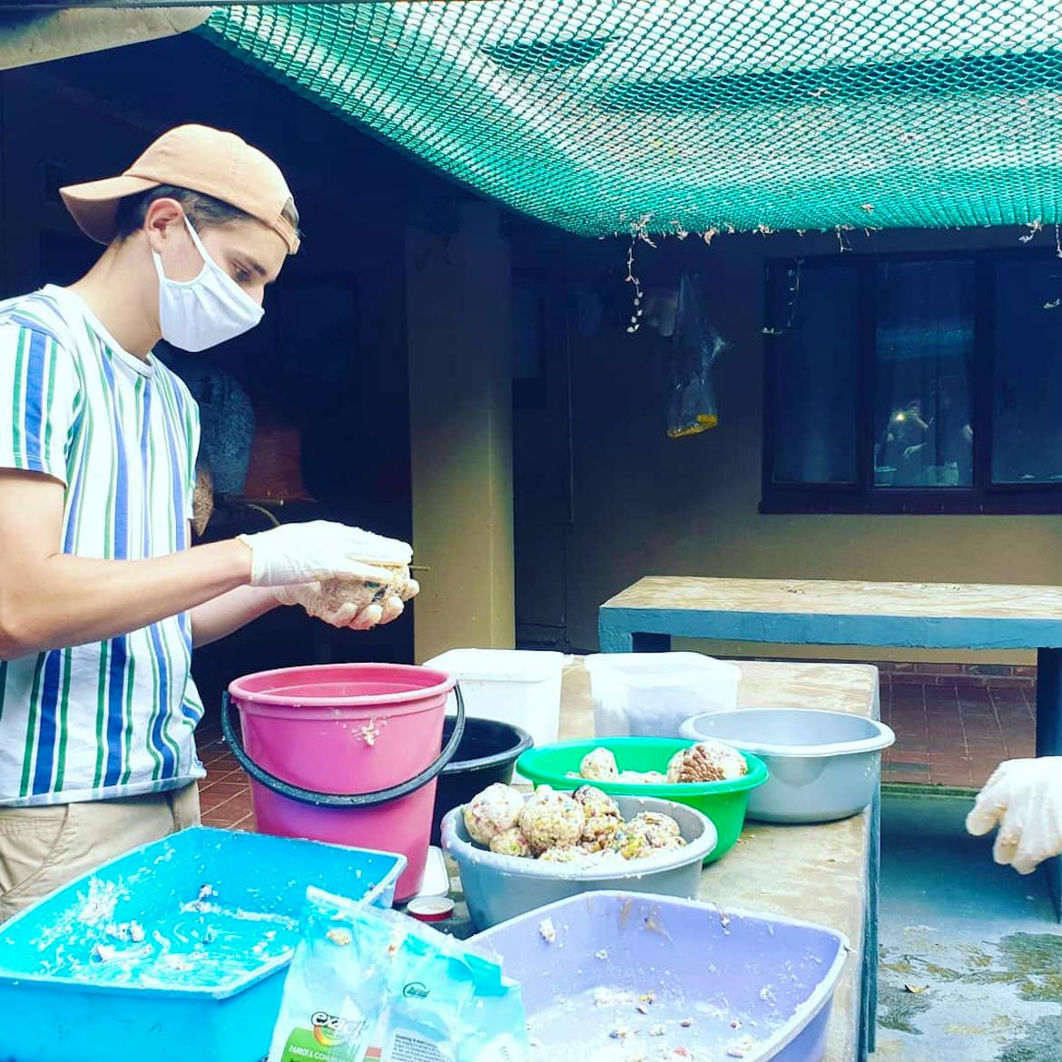 Wildlife Rescue, Rehab and Veterinary Clinic Volunteer in South