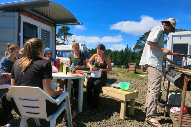 Volunteer In New Zealand рџ ірџ ї Top 10 Programs 2025 Volunteer World