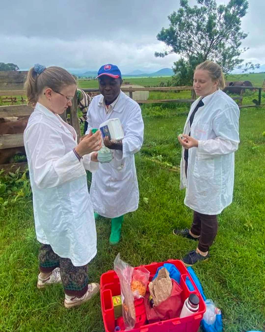 Our volunteers in their daily chores at a farm.