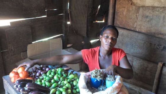 A woman attending to her small business of Grocery