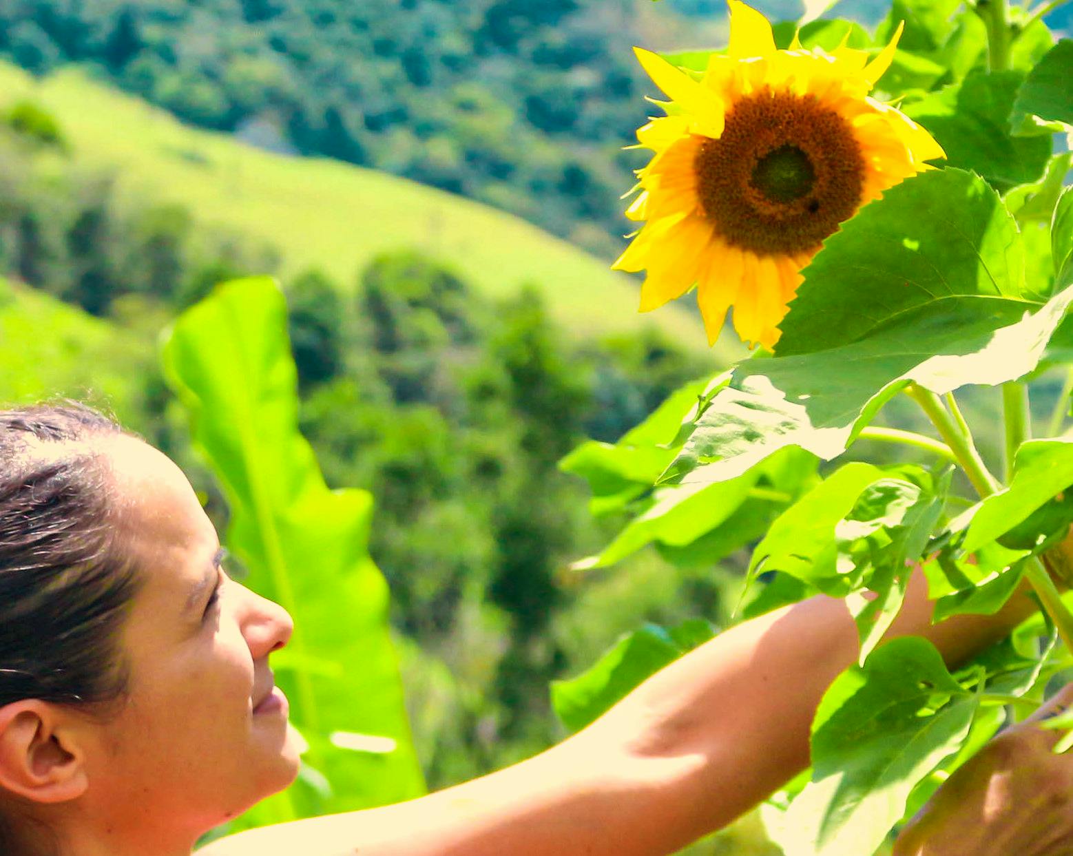 Agroforestry practice!