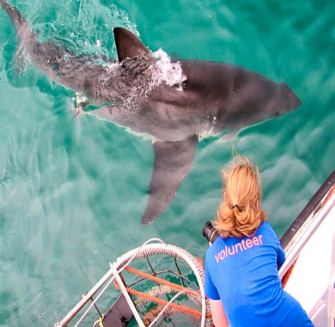 Our volunteer on site.