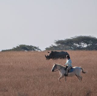 Horse Riding & Wildlife Conservation