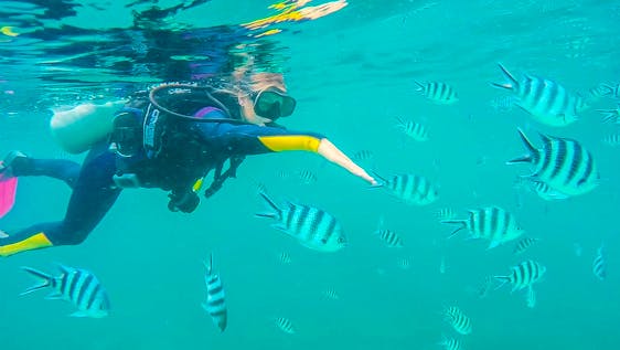 Vrijwilligerswerk in de Seychellen Marine Conservation and PADI Training Expedition