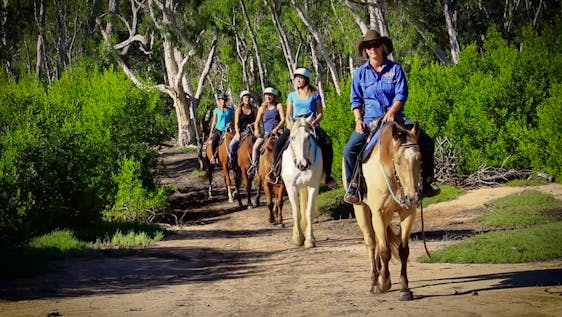Australian Horse Ranch Caretaker