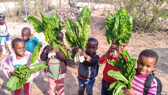 Organic Farming to help to feed our Kids.
