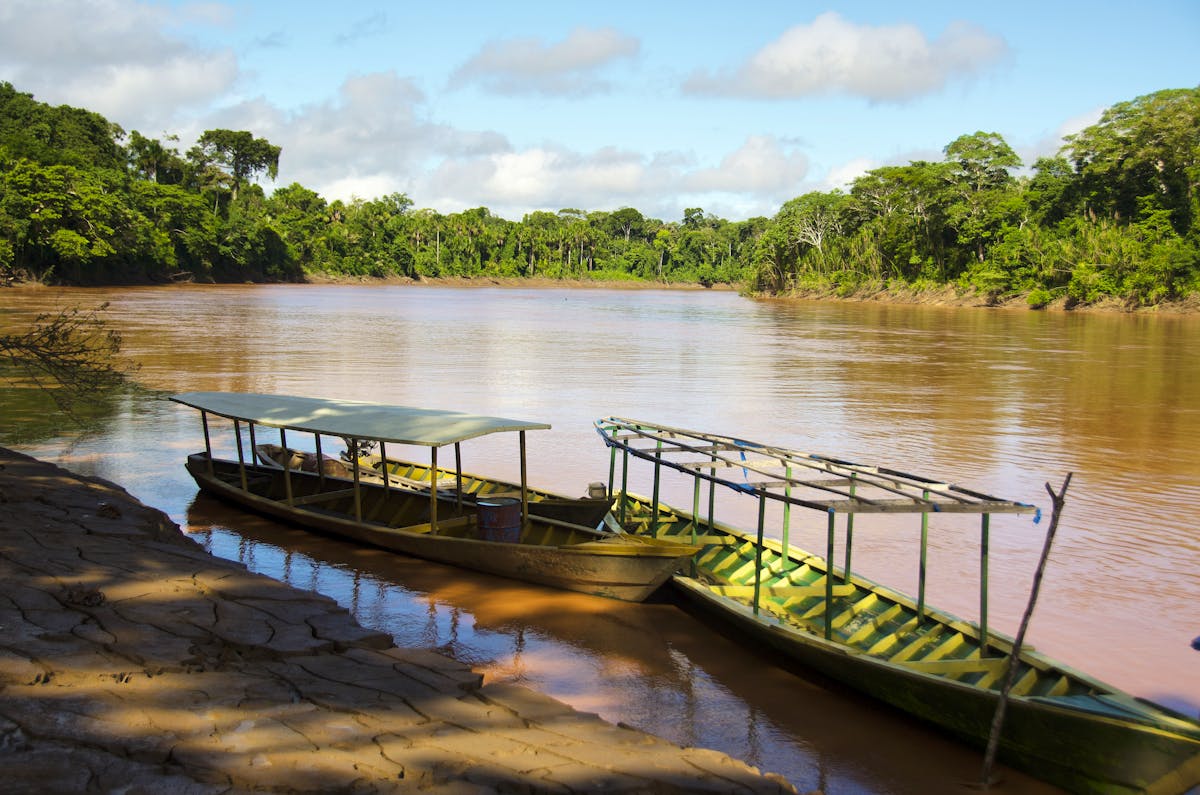 Amazon Rainforest Conservation | Volunteer in Peru 2025