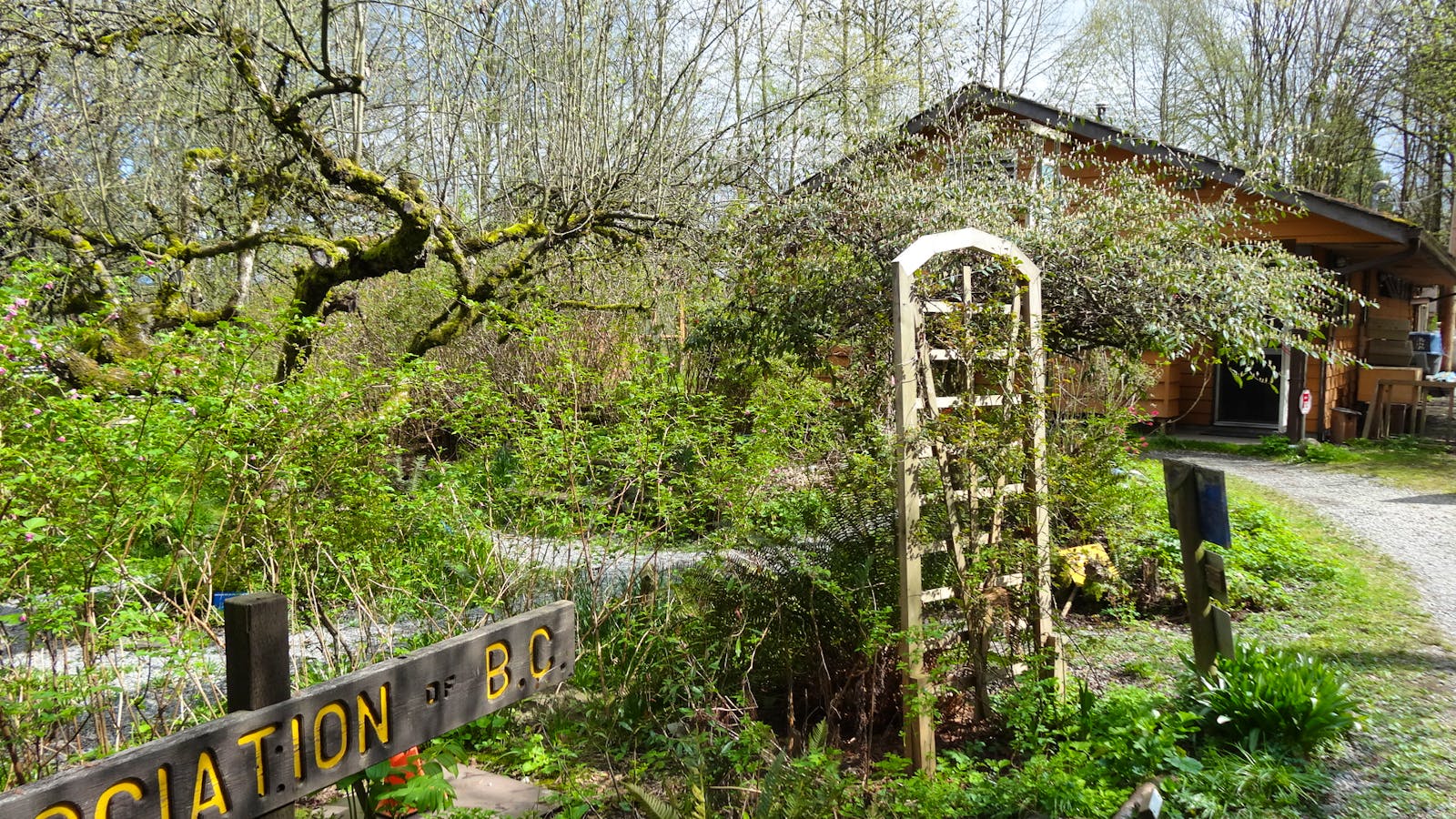 City Wildlife Rehab Caretaker Volunteer in Canada 2024