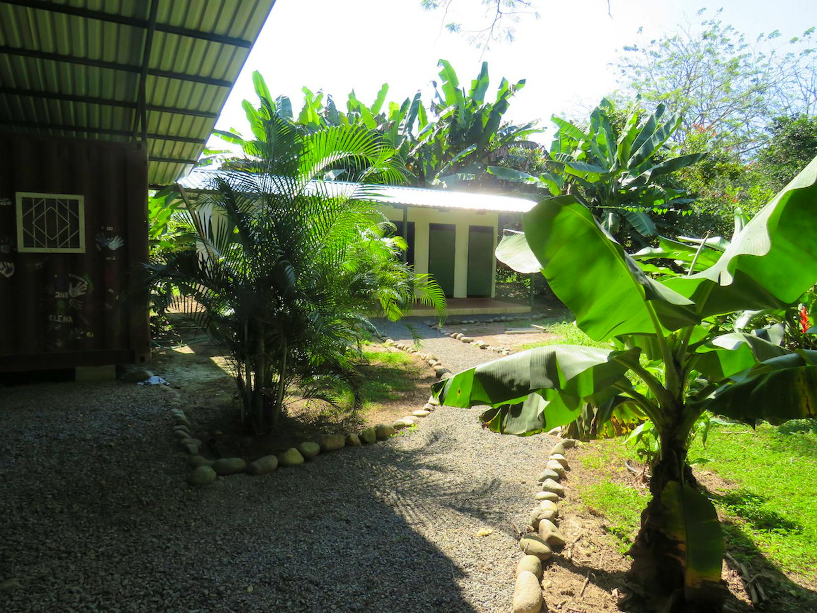 Wildlife Conservation Volunteer in Costa Rica Volunteer in Costa Rica