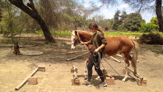  Horse Ranch Worker