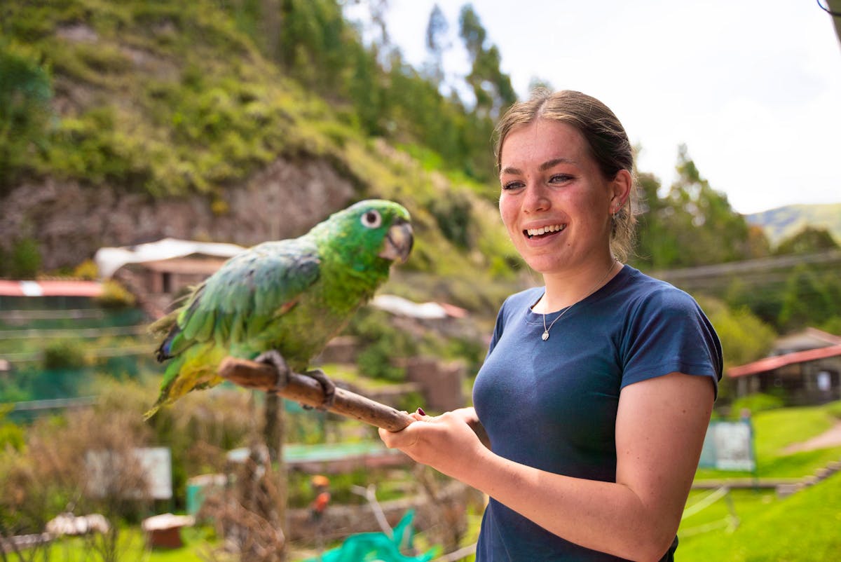 Peru Wildlife Rescue Volunteers | Volunteer in Peru 2025