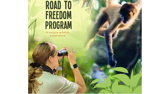 Endangered Animals Road To Freedom Internship