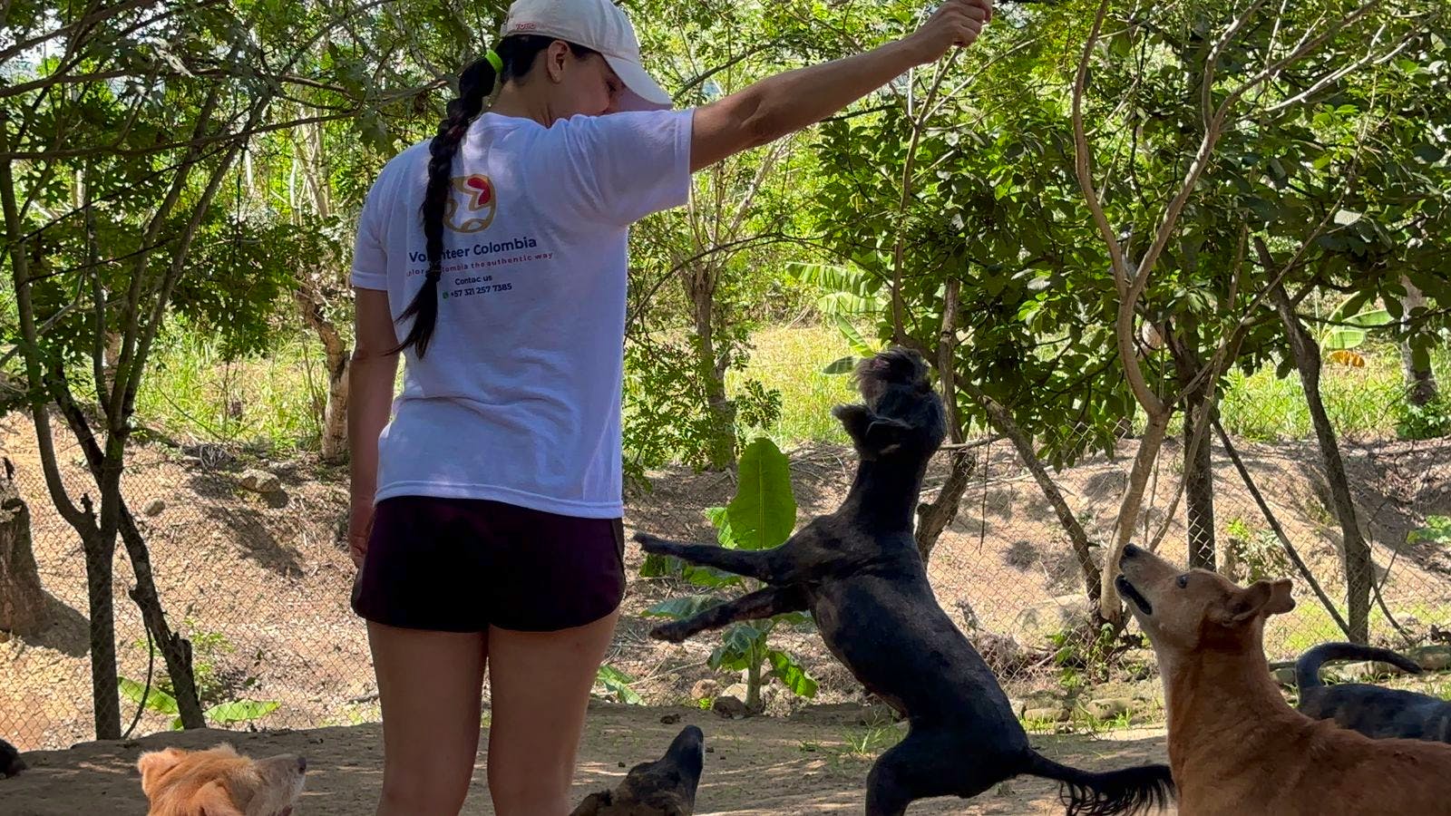 One of our volunteers playing with one of the dogs.