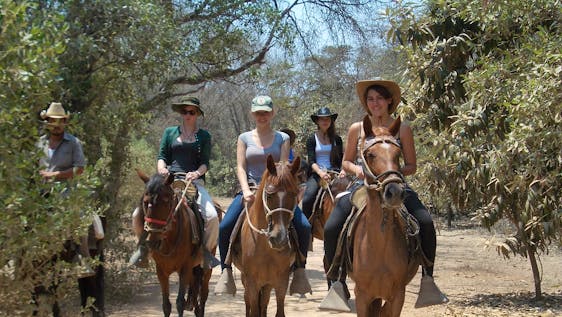Vrijwilligerswerk met Paarden Horseback Riding Assistant