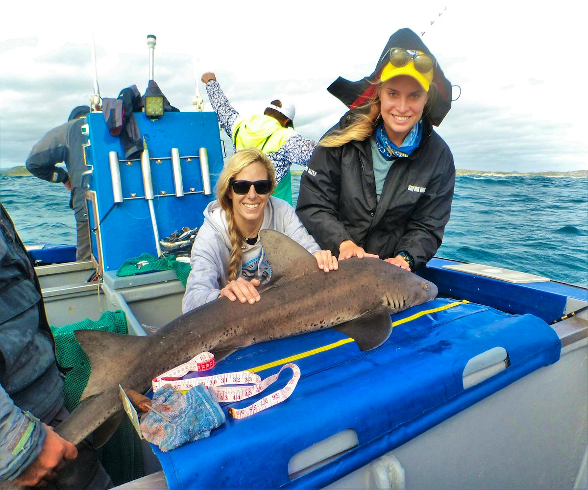 A catch and release tagging trip aboard our research vessel