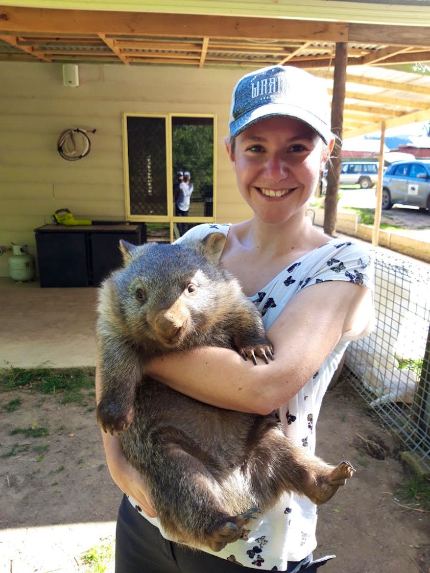 aussie-wildlife-homestay-volunteer-in-australia-2024