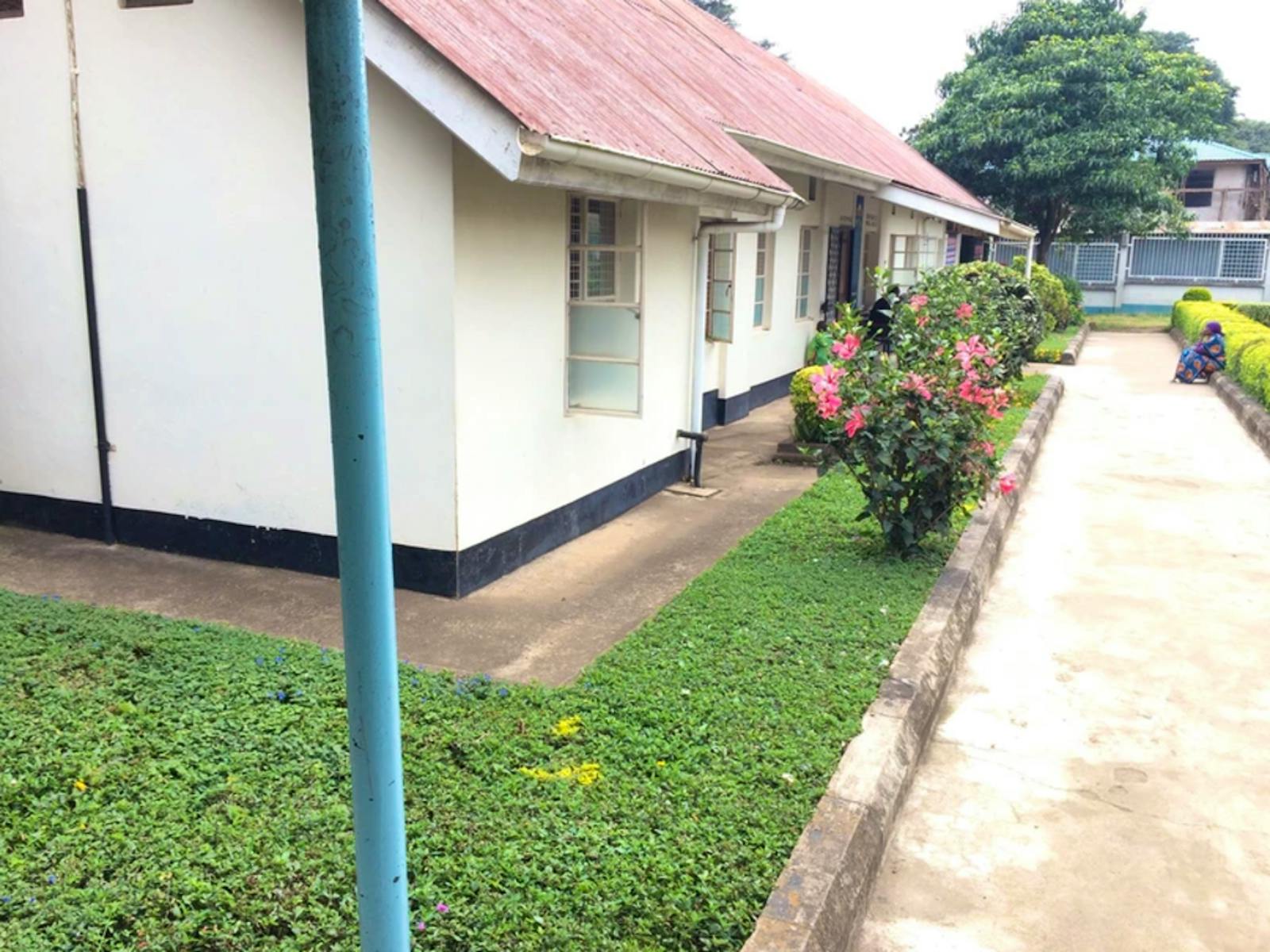 Mental Health Internship | Volunteer in Tanzania 2024