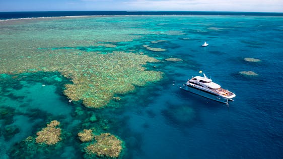 Freiwilligenarbeit im Great Barrier Reef Environmental Education Tour for Family and Groups