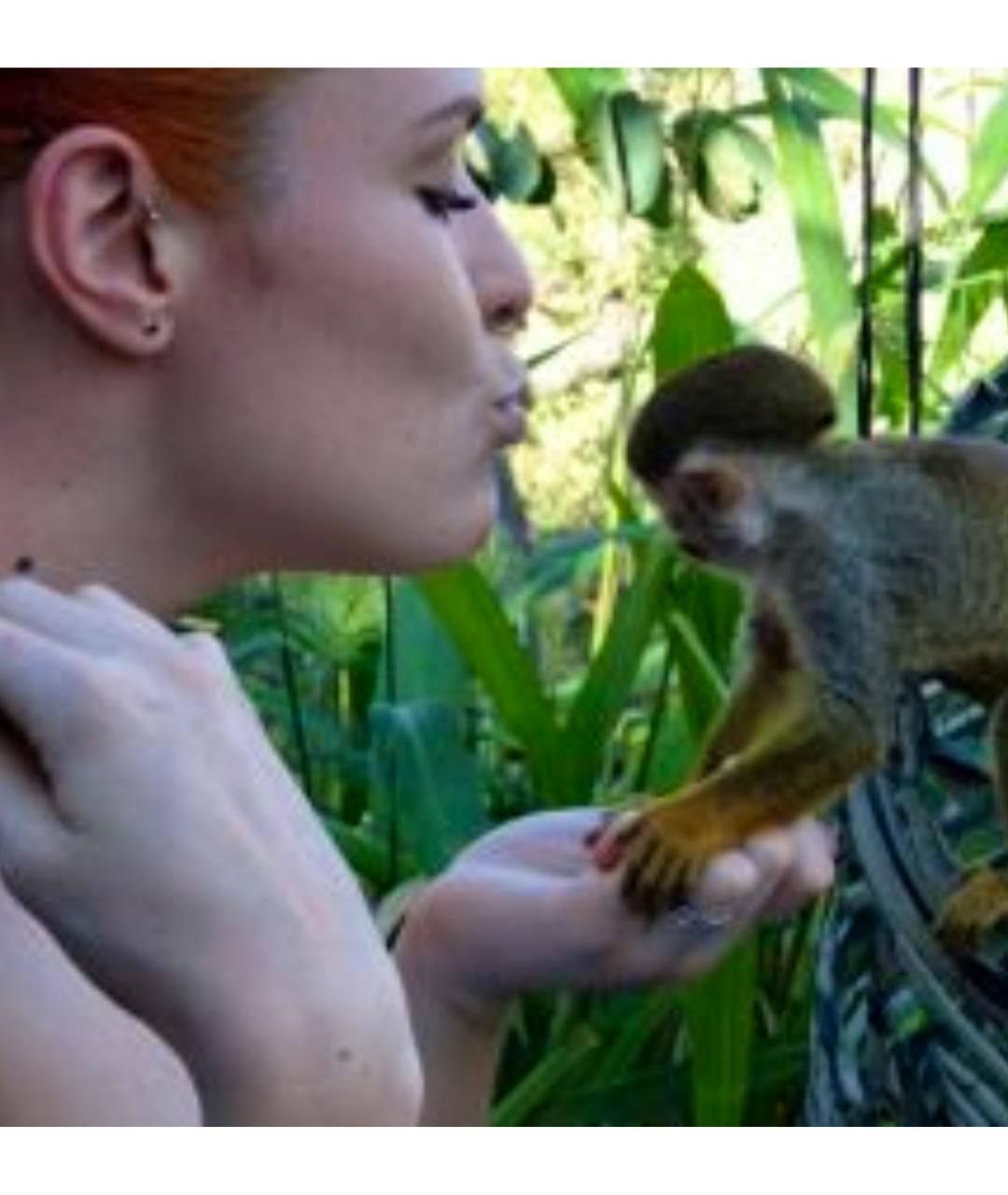 touching the lives of our primates