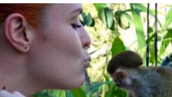  Primate Behaviour Internship