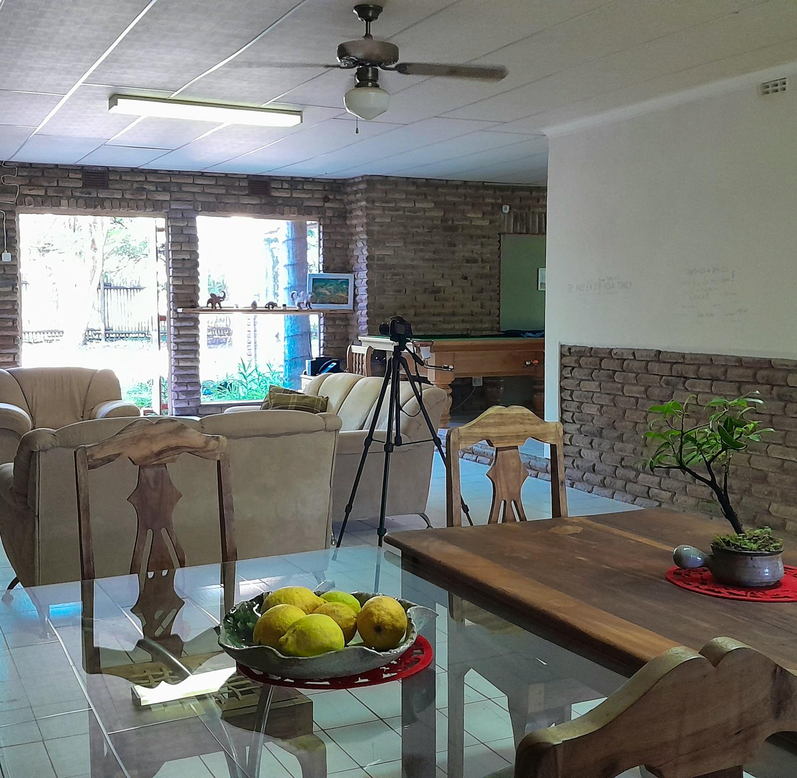 Reptile Vet Sanctuary | Volunteer in South Africa 2024