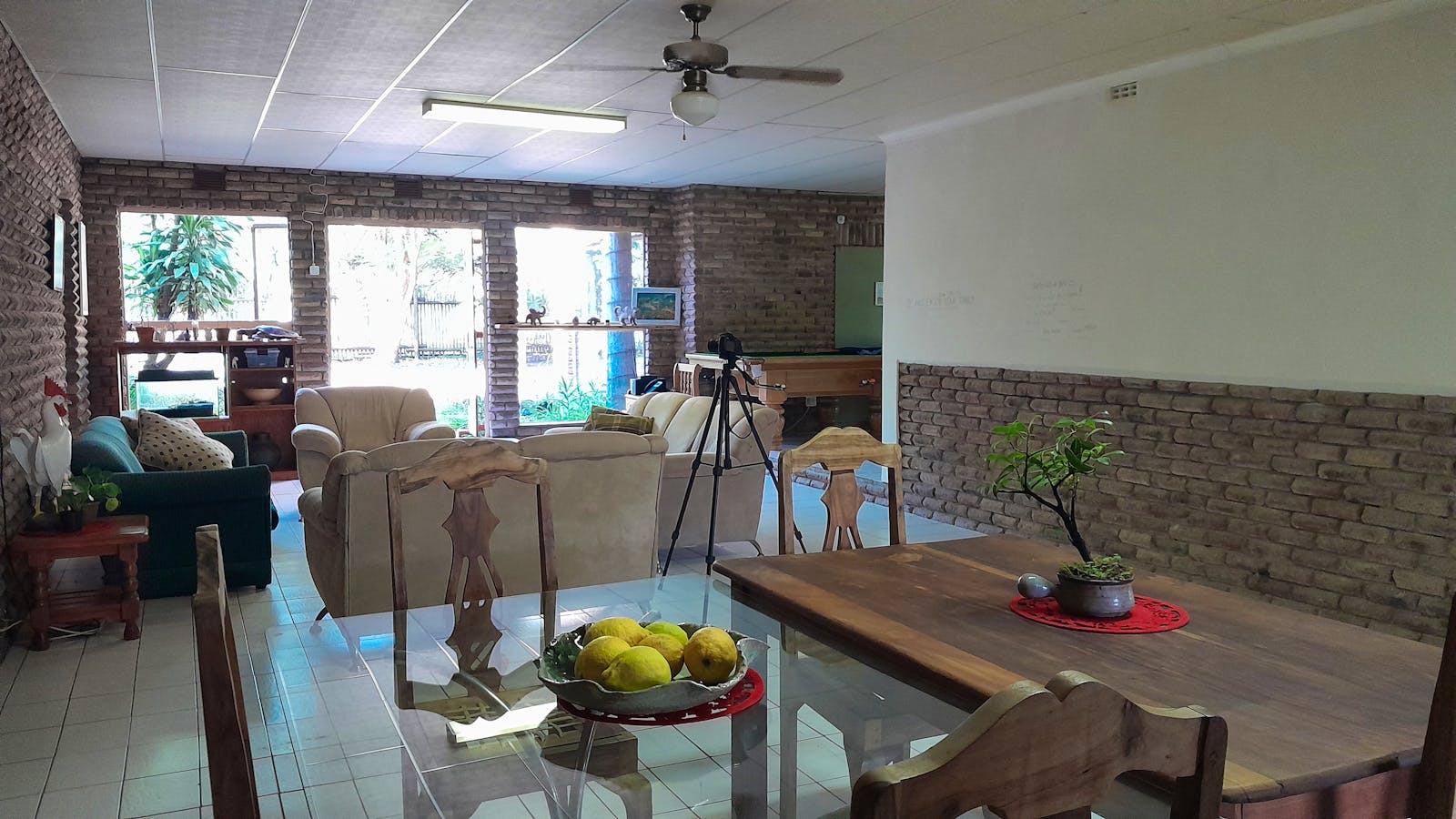 Reptile Vet Sanctuary | Volunteer in South Africa 2024