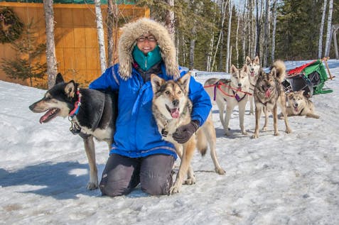  Huskies Caretaker And dogsled assistant