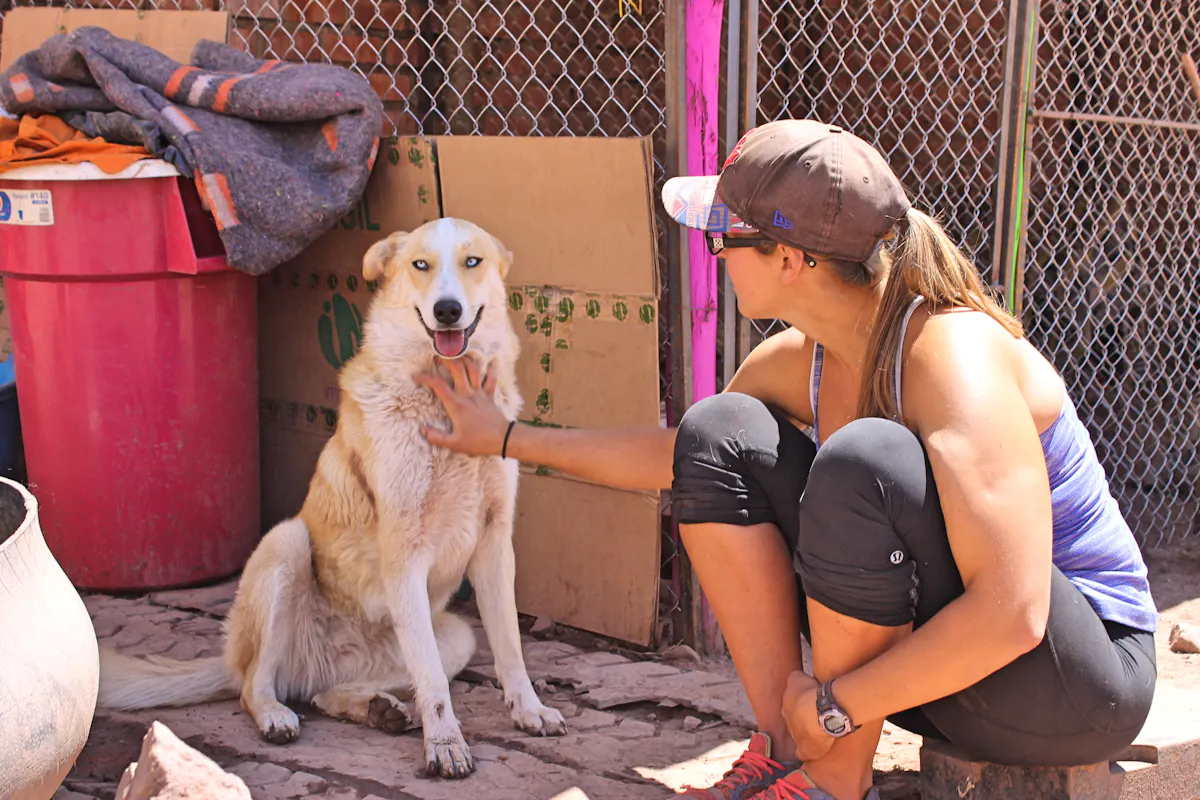 Support Animal and Wildlife Rescue Centers | Voluntariado en Perú 2023