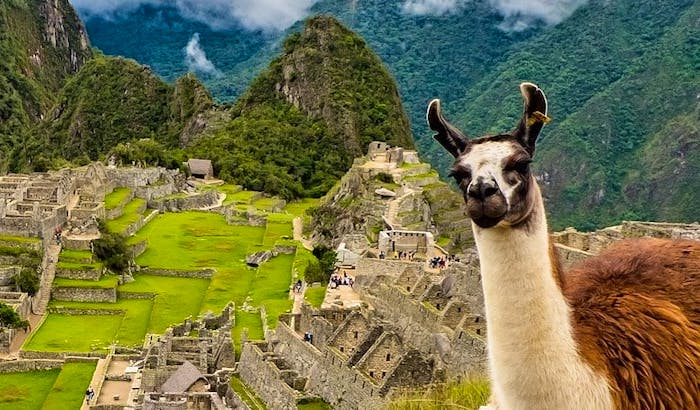 Volunteer In Peru Top 10 Programs 2020 Volunteer World