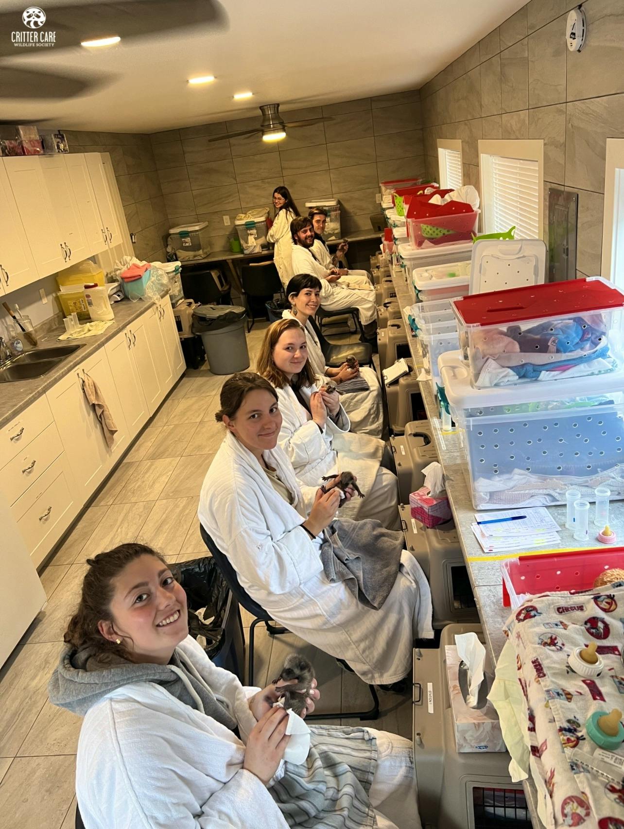 Feeding baby raccoons in the nursery!